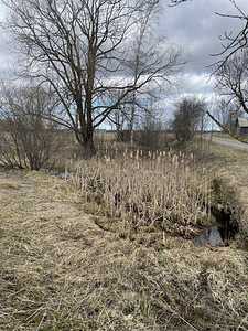 Koljala, Lüganuse vald, Ida-Virumaa (7 foto / 11)