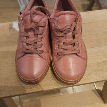 Ecco tossud s.29