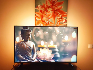 Philips Andriod TV Model#43PUS7956/12 (1 foto / 5)