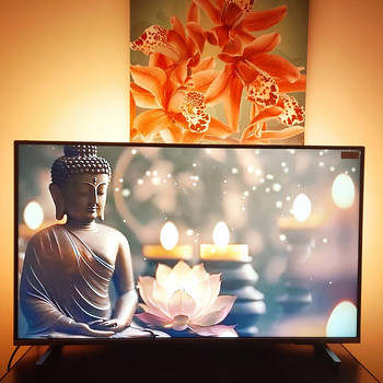 Philips Andriod TV Model#43PUS7956/12
