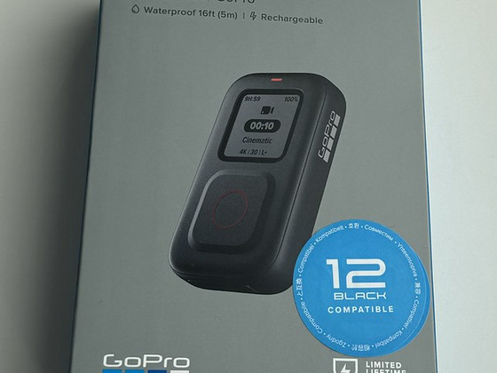GoPro 12 Black The Remote