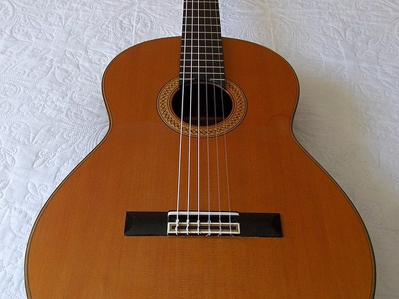 Классическая Испанская концертная гитара Esteve 9C/B
