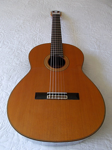 Классическая Испанская концертная гитара Esteve 9C/B (1 фото из 7)