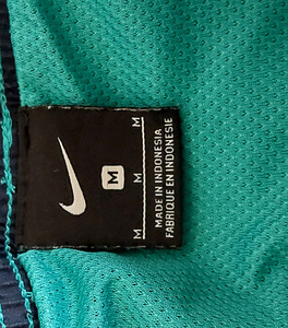 Nike ujumispüksid, M suurus. (4 foto / 4)
