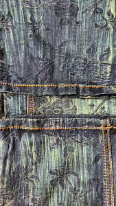 Брюки Roberto Cavalli+ куртка (3 фото из 6)