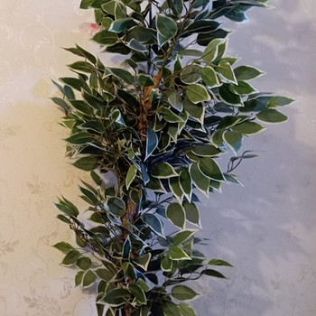 Kunstlik ficus