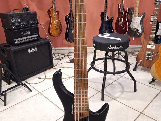 Ibanez EHB1005 Basskitarr