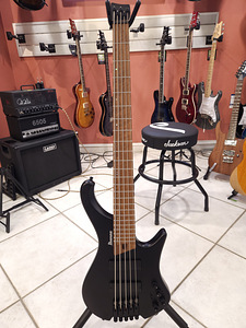 Ibanez EHB1005 Бас-гитара (1 фото из 3)