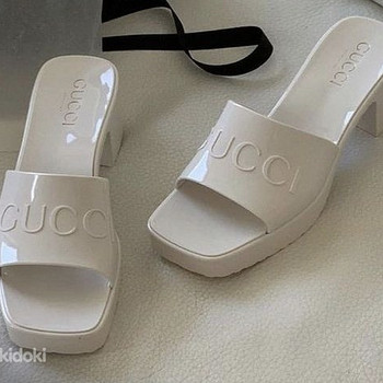 Gucci kingad