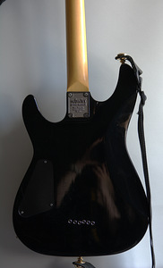 Модифицированная серия Schecter Omen 6 Diamond (3 фото из 6)