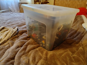 Karbis lego osad (1 foto / 8)