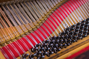 Klaveri häälestamine / Piano tuning (2 foto / 2)