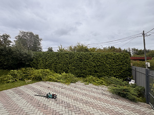 Стрижка живой изгороди (6 фото из 9)