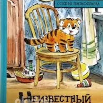 Sofia Prokofjeva: Tundmatu sabaga
