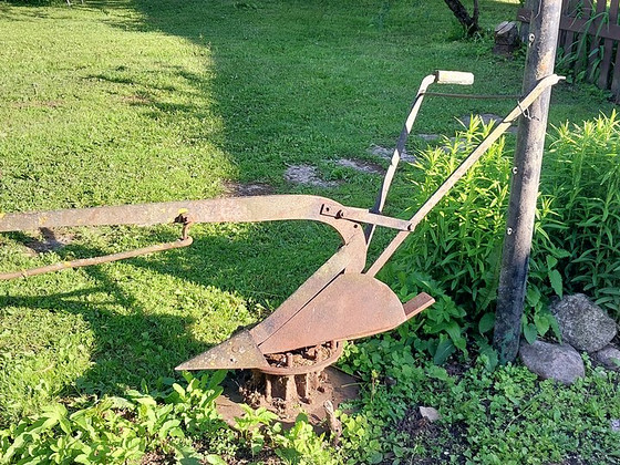 Vanaaegne vaoajaja