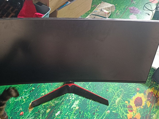 Monitor