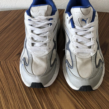 Puma tossud nr 37