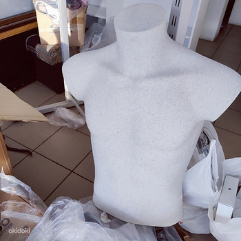 Mannekeenid