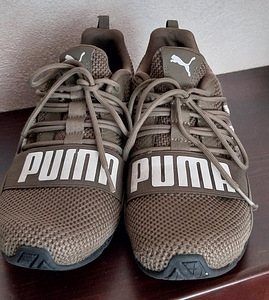 Puma tossud, s.37 (2 foto / 4)