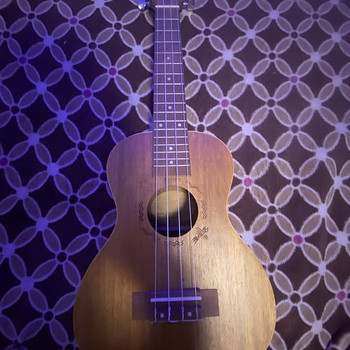 Ukulele