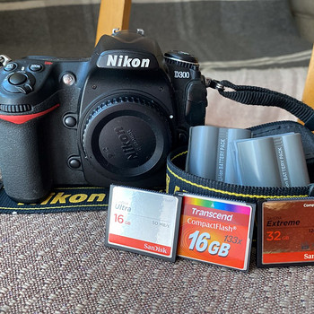 Nikon D300
