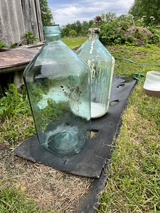 veinipudelid (3 foto / 3)
