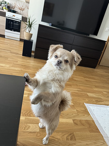 Ищем Невесту (1 фото из 2)