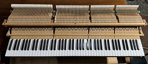 Yamaha (6 foto / 9)