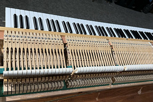 Yamaha (7 foto / 9)