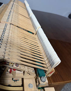 Yamaha (8 foto / 9)