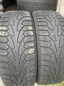 205 60 R 16 Nokian Hakkapeliitta RSi (2 фото из 4)