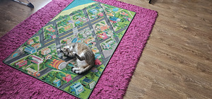 Laste vaip, 100x150 cm (2 foto / 3)