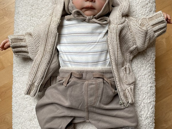 Reborn beebinukk