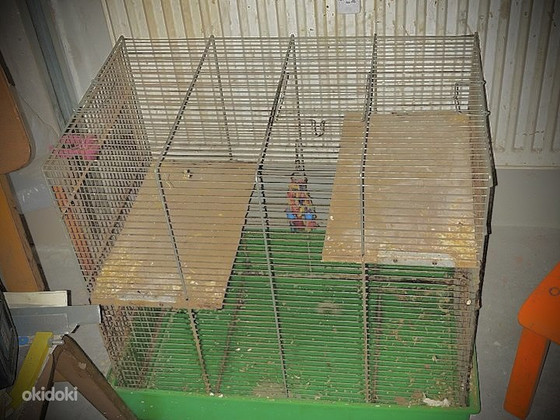 Клетка