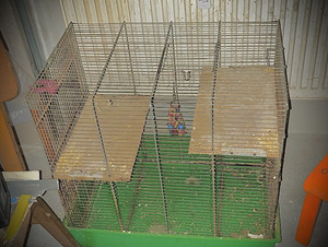 Puuri (1 foto / 1)