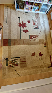 Pehme ja vähe kasutatud vaip 200x300 (2 foto / 4)