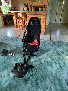 Playseat стул+G920 (1 фото из 2)