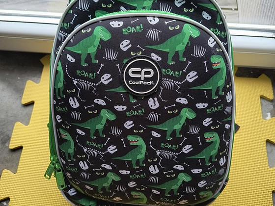 Seljakott рюкзак CoolPack Turtle Dinosaurs D015330