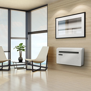 Seinale paigaldatav konditsioneer ilma välise seadmeta PAC-W 2200 S (8 foto / 10)