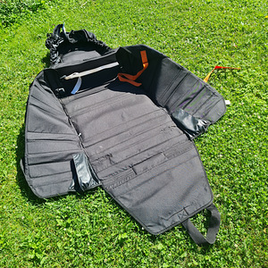 Prampack müügiks (6 foto / 6)