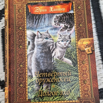 Коты-воители