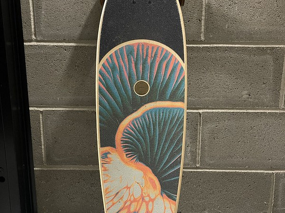 Müüa longboard, kasutatud, kuid heas seisukorras! Kasutatud ainult paar korda.