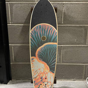 Продам лонгборд/ Müüa longboard