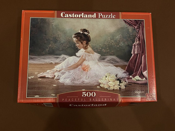 Pazzle/Пазлы 500