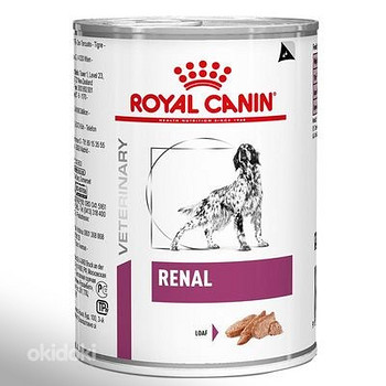 Royal Canin Veterinary Canine Renal Mousse