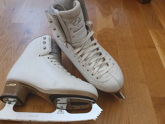 Jackson Elle 2131 iluuisud s33 s34