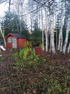 Kibuna, Saue vald, Harjumaa (3 foto / 11)