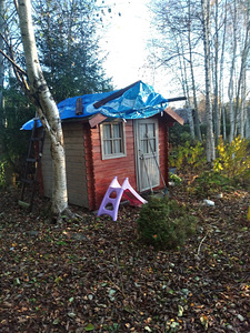Kibuna, Saue vald, Harjumaa (6 foto / 11)