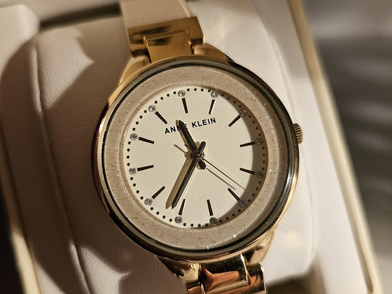 Часы Anne Klein 1408CRCR