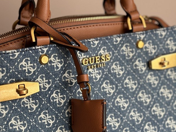 Guess kott